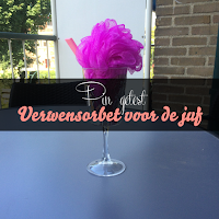 Verwensorbet voor de juf - Pin getest