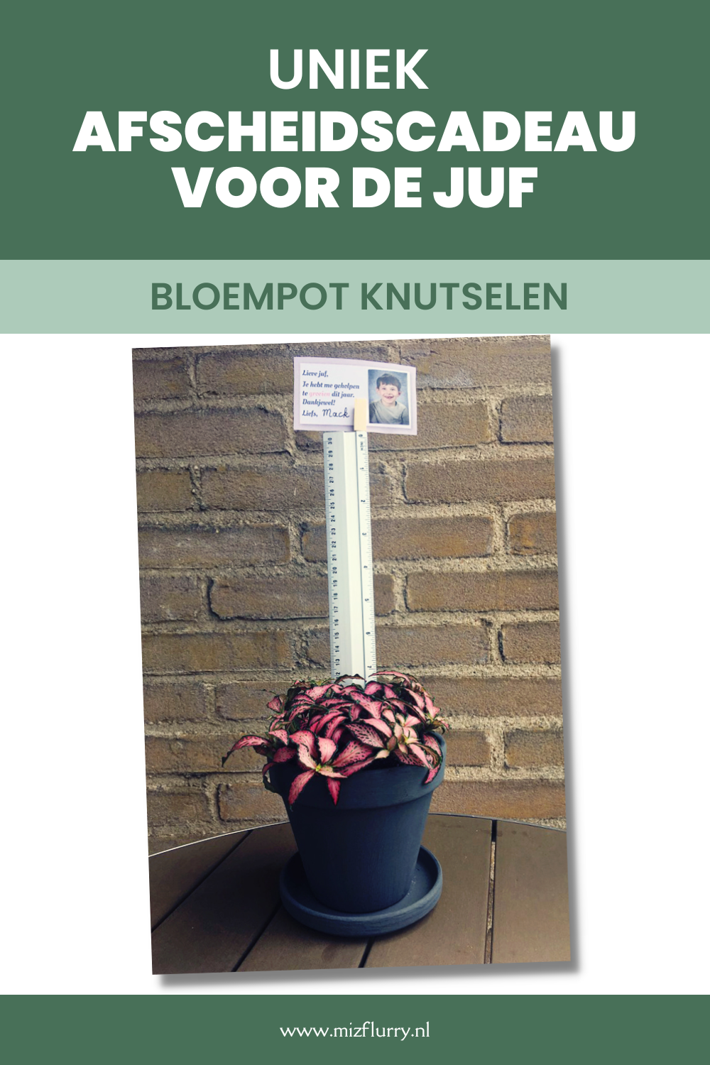 Afscheidscadeau voor de juf bloempot (pinterest-afbeelding)