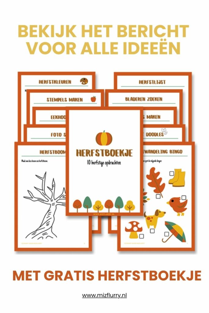 Afbeelding van printable herfstboekje met oranje randjes en herfstillustraties, met tekst “Bekijk het bericht voor alle ideeën – met gratis herfstboekje”