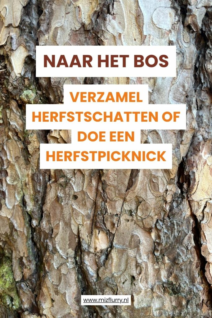 Close-up van boomschors met tekstoverlay “Naar het bos – verzamel herfstschatten of doe een herfstpicknick”
