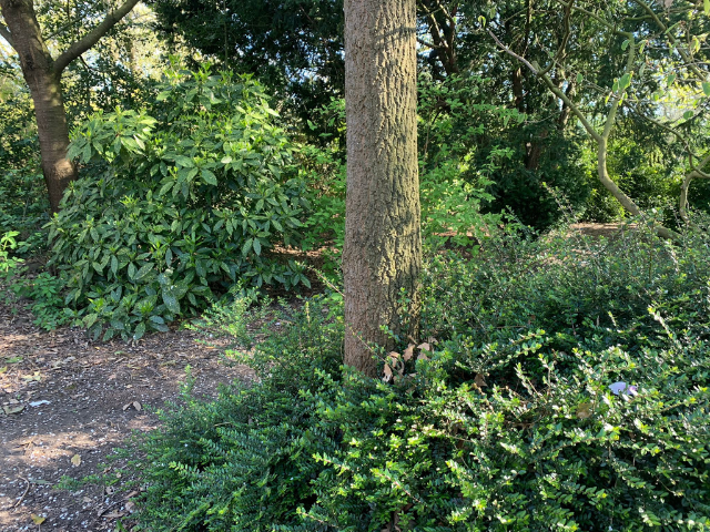 paasspel voor volwassenen