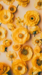 gele bloemen achtergrond iphone
