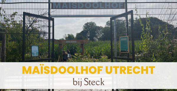 Maïsdoolhof Utrecht bij Steck uitgelichte afbeelding