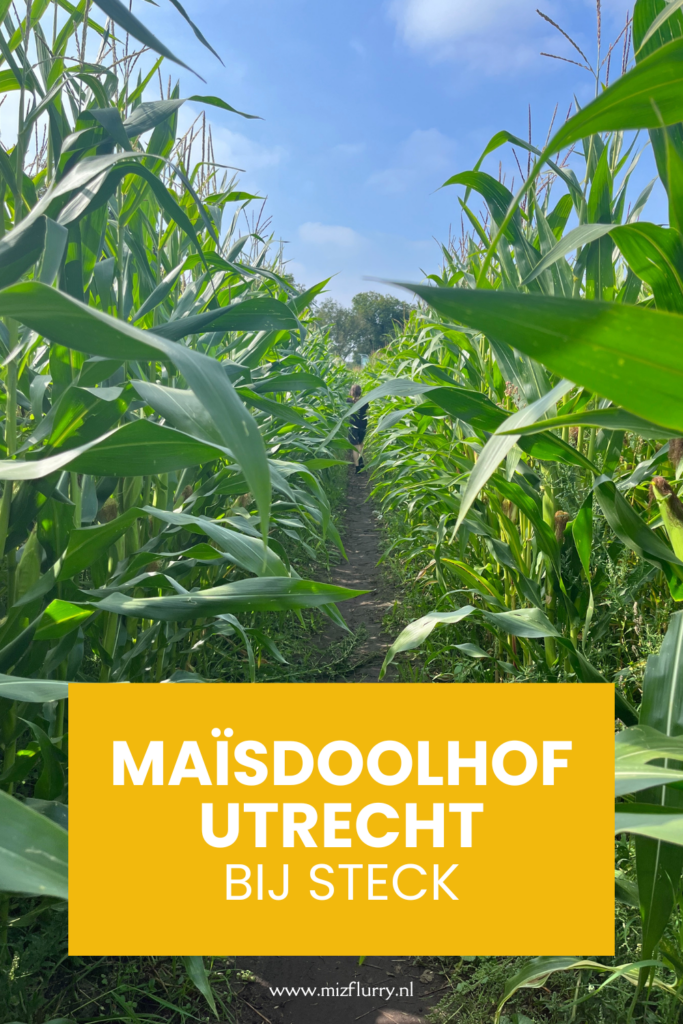 maisdoolhof utrecht pinterest