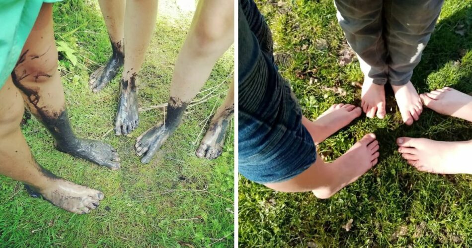 blotevoetenpaden Nederland uitgelicht