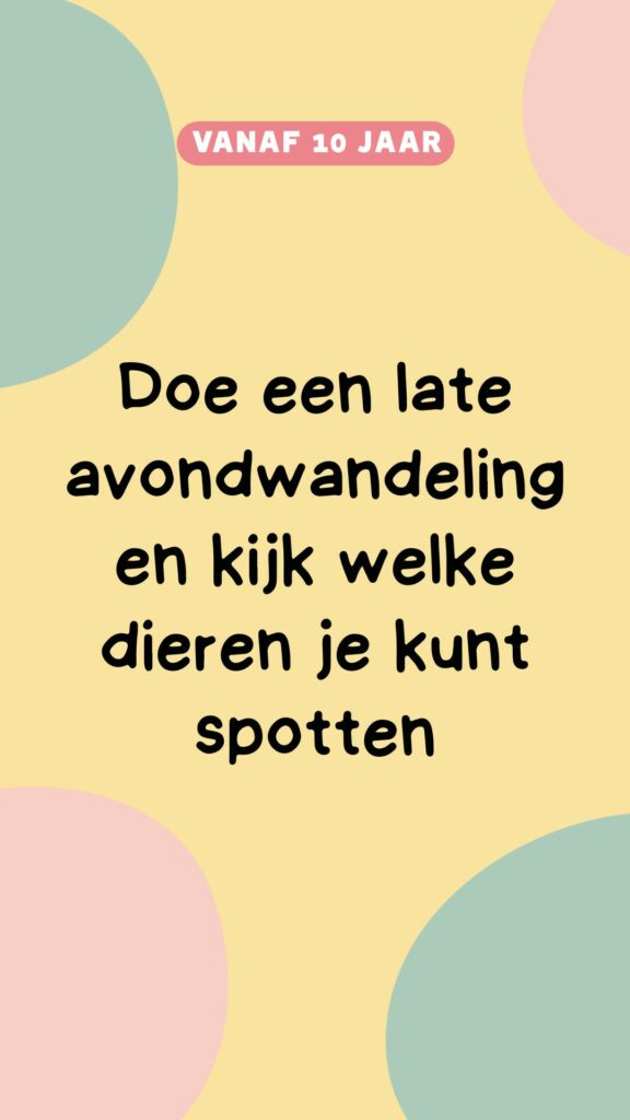 activiteit vanaf 10: late avondwandeling