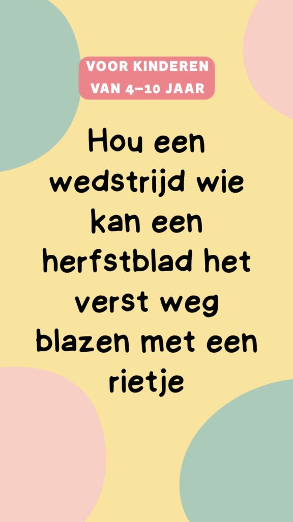 activiteit kinderen: verzamel herfstschatten en maak een herfsttafel