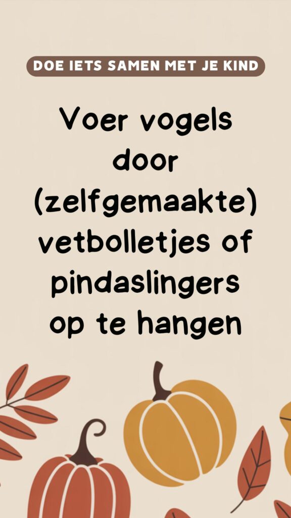 activiteit: voer vogels door vetboolletjes of pindaslingers op te hangen