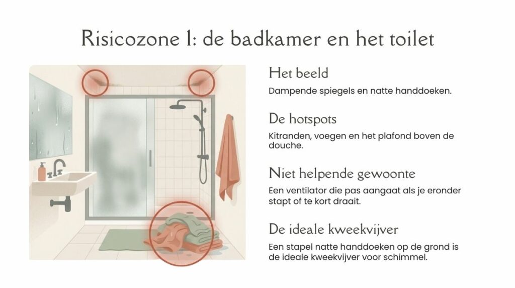 schimmel badkamer toilet
